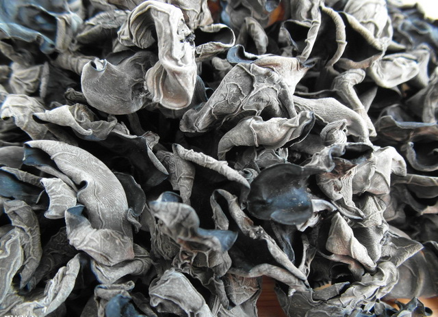 黑(hēi)木(mù)耳